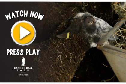Watch now