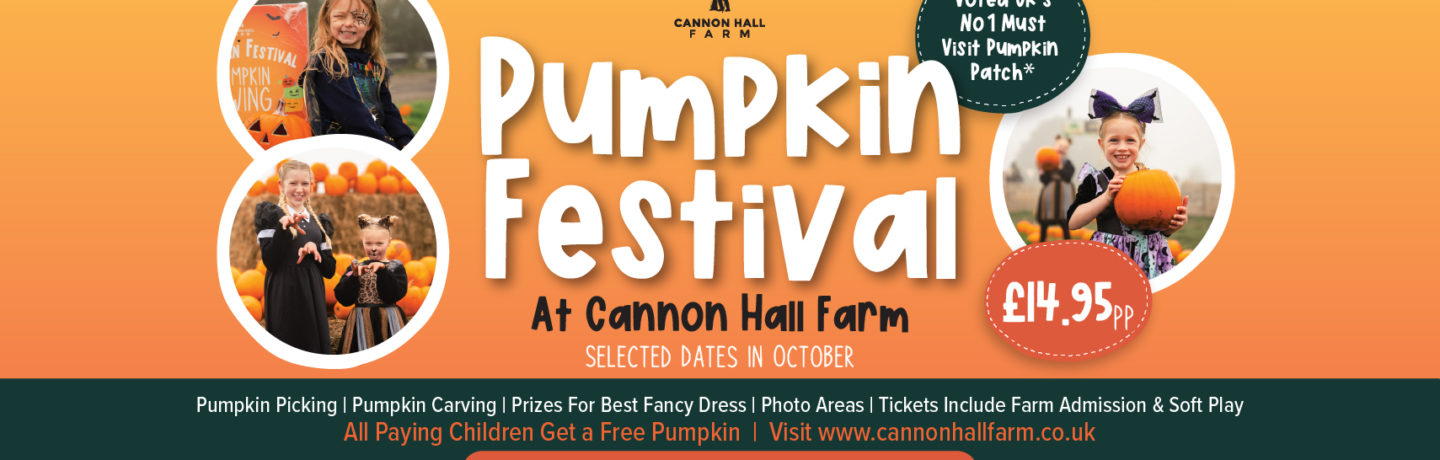 Pumpkin Picking at Cannon Hall Farm