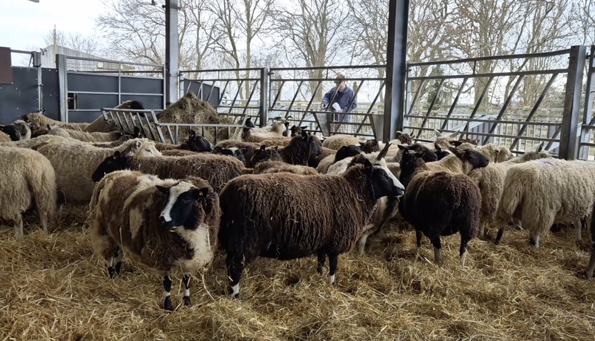 Caanon Ridge Farm We’ve had an upgrade! | Cannon Hall Farm
