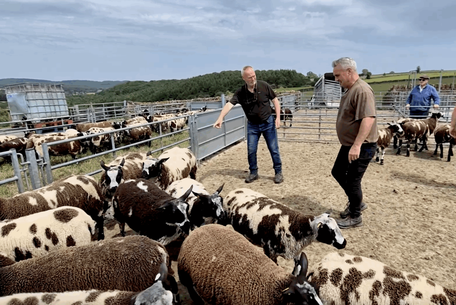 Caanon Ridge Farm Archives: Video | Cannon Hall Farm